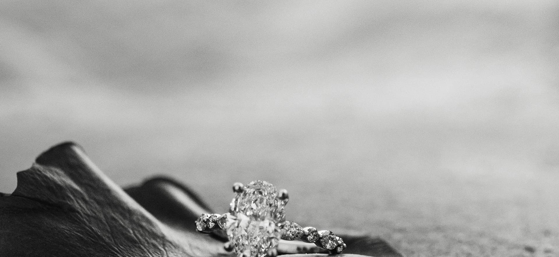 Banner 3 del homepage